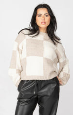 Dex LS Colorblock Sweater