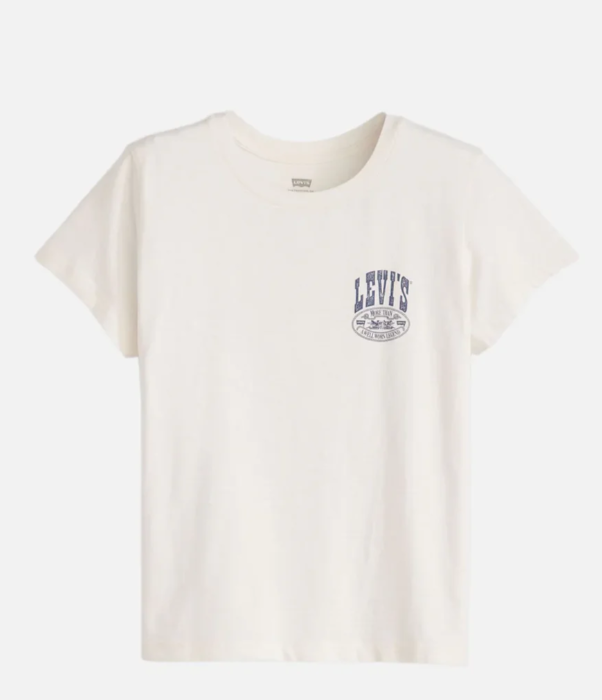 Canyon Poster Boxy T-Shirt | Levi's