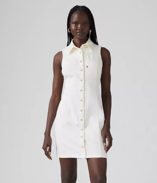 Zeda Denim Dress