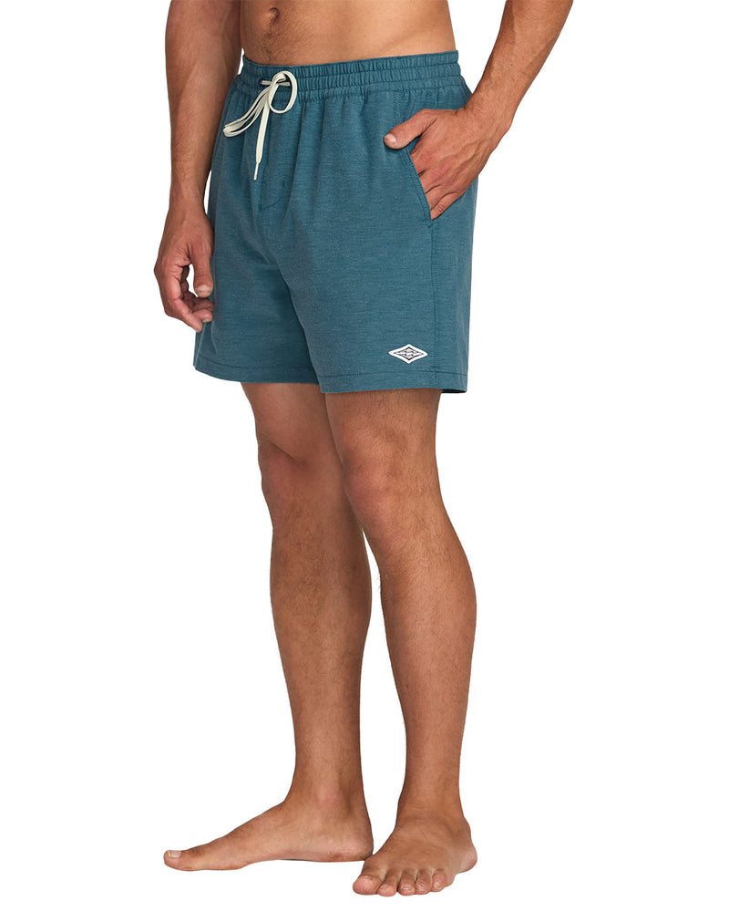 Every Other Day Boardshorts